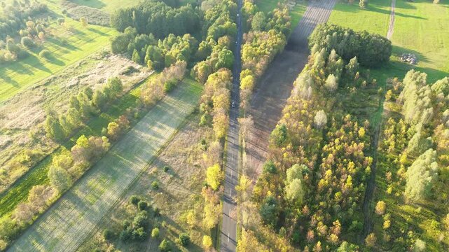 Autumn colors surrounding rural road - Powered by Adobe
