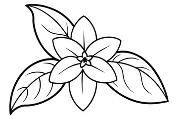 Obraz premium Jasmine Bud Line Art, Simple Black and White Vector Illustration