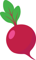 Fresh red beetroot vegetable vector illustration design