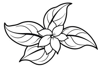 Elegant Jasmine flower, delicate line art illustration, isolated on white background.