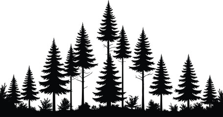 Naklejka premium Pine forest silhouette vector illustration with tall evergreen trees woodland nature landscape background isolated on white for design projects