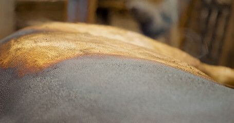 Slaughtering a domestic pig during the Christmas holidays in a rural village. Farmer removing pig hair using intense blowtorch flame during traditional meat preparation process.