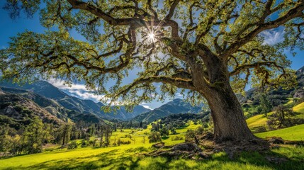 Fototapeta premium A majestic tree stands in a lush green landscape, with sunlight streaming through its branches, surrounded by mountains and rolling hills.