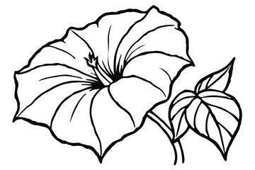 Fototapeta premium Simple Morning Glory Leaf and Stem Line Art, Minimalist Black and White Botanical Vector for Icon or Logo
