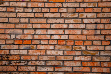 Obraz premium Grunge Brick Wall Texture Background