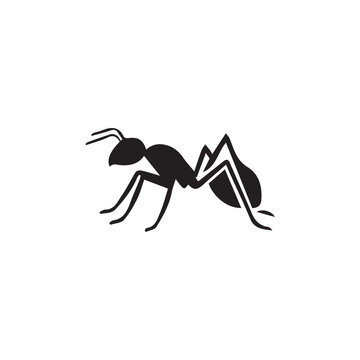 Minimalist ant logo on a white background.