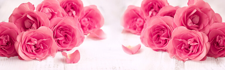 Elegant Pink Roses on White Wooden Background: Romantic Floral Arrangement