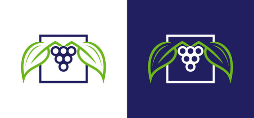 Square-shaped design vector combining agriculture with grapes and fruits, suitable for wine labels, agricultural marketing materials, and agricultural presentations.