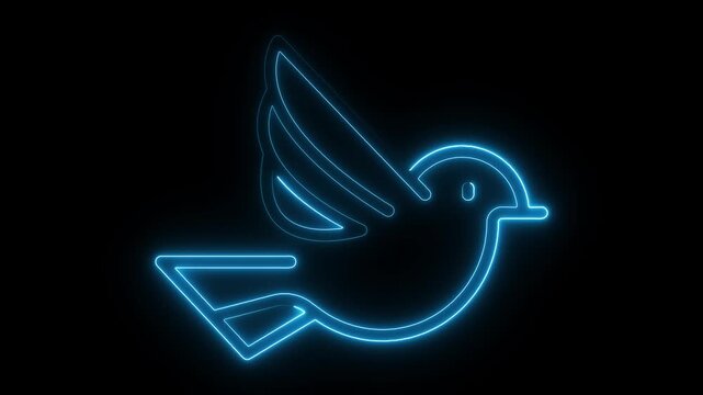 Blue neon bird silhouette on black background light 4k video. bird, black, blue, branding,