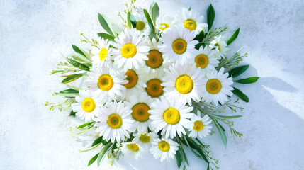 Fresh daisy flowers in circular arrangement, highlighting white petals and yellow centers with natural light.
