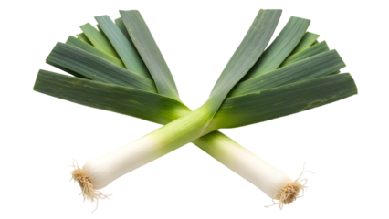 Scallion or green onion isolated on transparent background fresh and raw vegetable