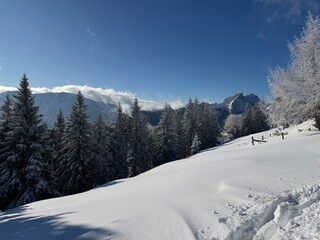 Chiemgau alps at Unterberg Alm, Ruhpolding covered in fresh powder snow