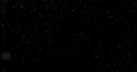 Freeze motion of Falling Realistic Snow Captured on a Pure Black Background. Perfect as a VFX or Compositing Overlay for Winter Atmospheres and Visual Effects.