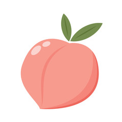 Peach cartoon vector. Doodle peach with leaves icon. Peach fruit in shape of heart isolated on white background. Farm, natural food, fresh fruits.