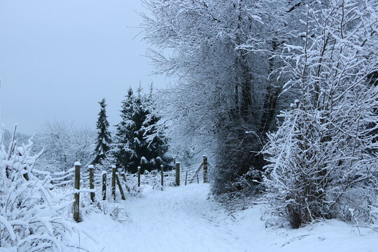 Landschaft im Winter mit Feldweg am Waldrand und Weidezaun
