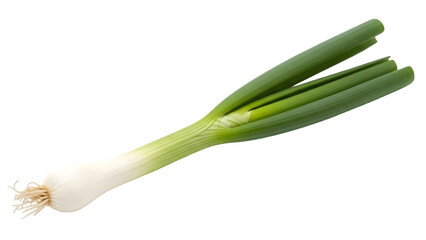 Green onion or scallion isolated on transparent background with roots and bulbs
