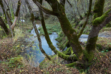 Cascade on Gostilje stream, Zlatibor district in Serbia, travel destination