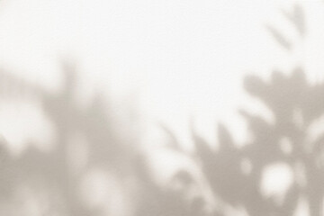Leaf shadow and light beige background. Nature tropical leaves plant and tree branch shade with...
