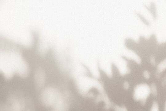 Leaf shadow and light beige background. Nature tropical leaves plant and tree branch shade with sunlight on wall texture for background wallpaper and design, shadow overlay effect