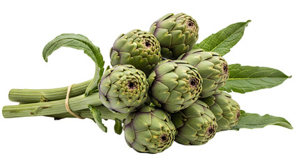 A bunch of fresh artichokes isolated on transparent background