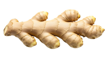 Fresh ginger root isolated on transparent background
