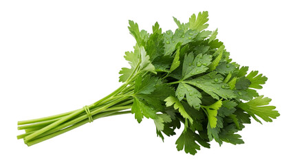 Fresh parsley bunch isolated on transparent background