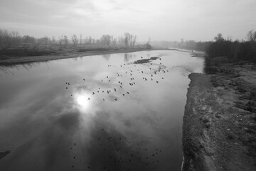 IL SESIA E LE CAMPAGNE VERCELLESI LUNGO LA VIA FRANCIGENA