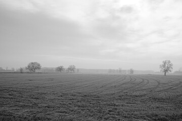 CAMPAGNE VERCELLESI LUNGO LA VIA FRANCIGENA