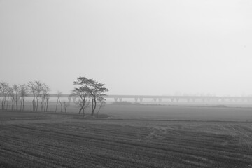 CAMPAGNE VERCELLESI LUNGO LA VIA FRANCIGENA