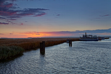 Obraz premium Lichtstimmung am Bodstedter Bodden bei Zingst am Abend, Nationalpark Vorpommersche Boddenlandschaft, Mecklenburg-Vorpommern, Deutschland