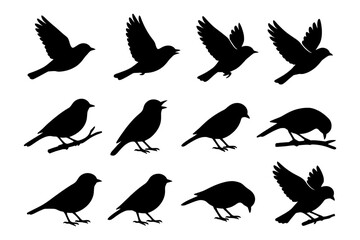 Obraz premium Silhouettes of birds: diverse poses of small birds in flight and perching.