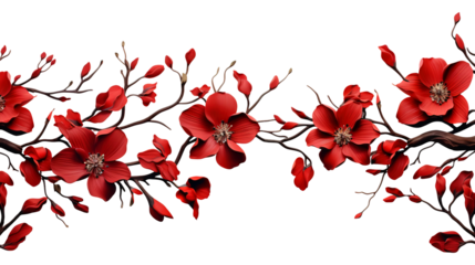 Red cherry blossom branch isolated on transparent background Remove png, Clipping Path, pen tool