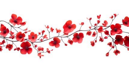 Red cherry blossom branch isolated on transparent background Remove png, Clipping Path, pen tool