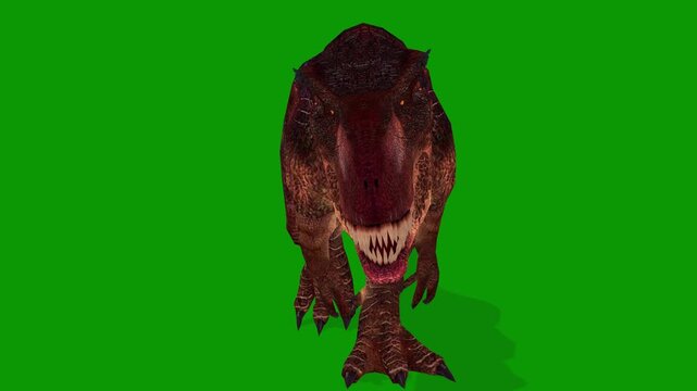 Ultra Realistic 3D Gigantosaurus Walking Front on Green Screen