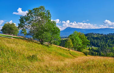 Sunny Mountain Hills Green Landscape