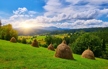 Haystacks on Mountain Slope Summer Landscape