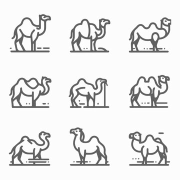 A set of nine black line icons depicting camels in various poses on a white background with simple shading.