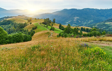 Wildflower Meadow Mountain Landscape View