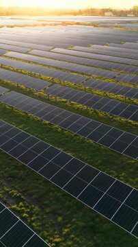Aerial vertical view above rows of solar panels in a row on farmland at sunset