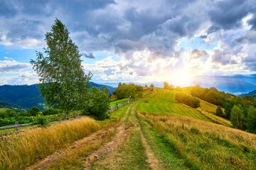 Mountain Ridge Path Birch Tree Landscape