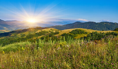 Wildflower Meadow Mountain Landscape View