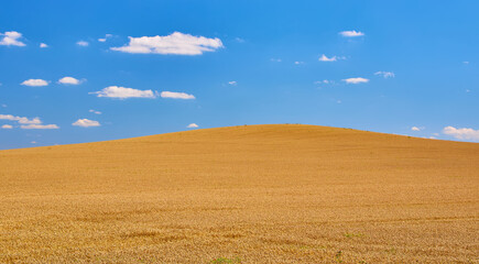 Golden Hill Blue Sky Clouds