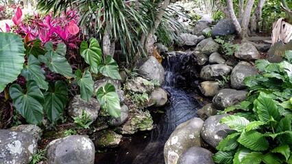 A small, serene waterfall cascades into a rocky stream surrounded by lush tropical plants and vibrant pink flowers. A peaceful landscape design featuring natural garden elements. © agung
