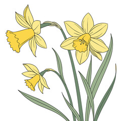 vector Flowers image free download.
