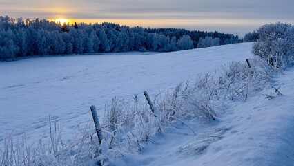 Winter Sunset Picture of Norwegian Scandinavian Countryside Field Landscape and Old Fence Covered in Snow Nature Horizontal Photo