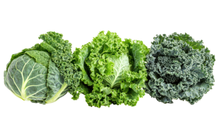 Fresh kale varieties, isolated on transparent background, top view, healthy food concept