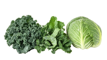 Fresh leafy greens collection: kale, cabbage, spinach on transparent background