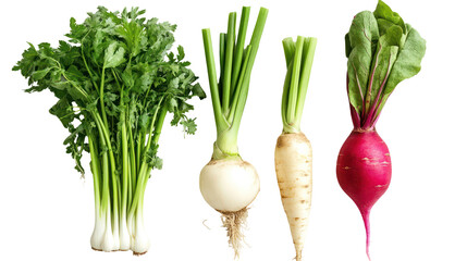 Fresh root vegetables, isolated on transparent background