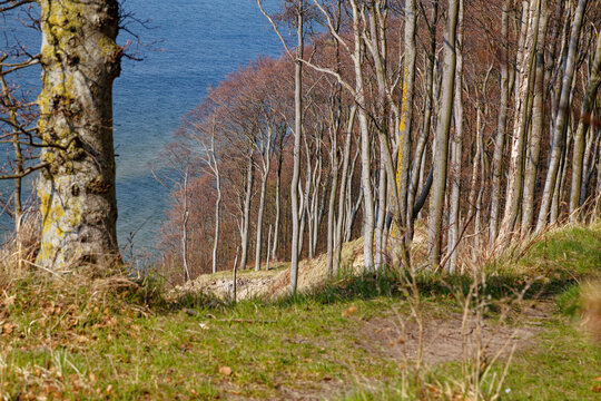 Blick vom Berg Gosan im Nationalpark Wollin &uuml;ber die Ostsee, Insel Wolin,Woiwodschaft Westpommern, Polen