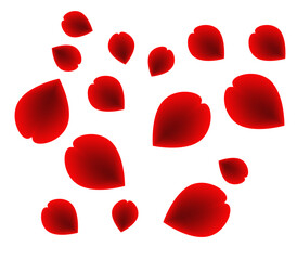 blood cells isolated on white